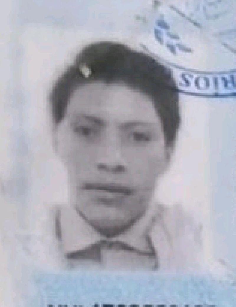 User Image